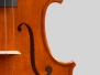2026 Viola