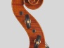 2012 Violin